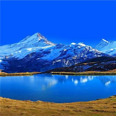 幸运彩票下载app