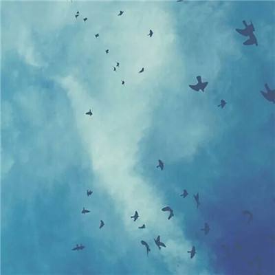 best365官网app下载截图