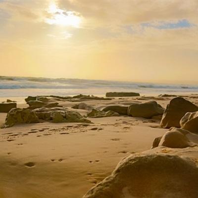 188金宝搏app下载截图