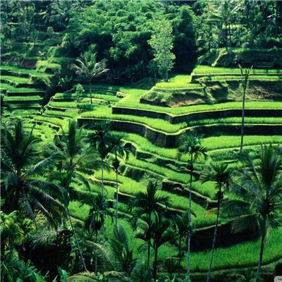 快盈lV购彩大厅手机app下载截图