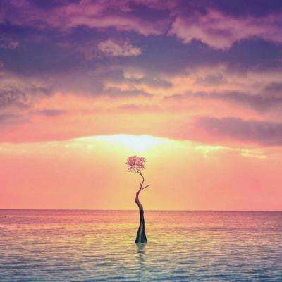 关于“开云电竞APP”app下载